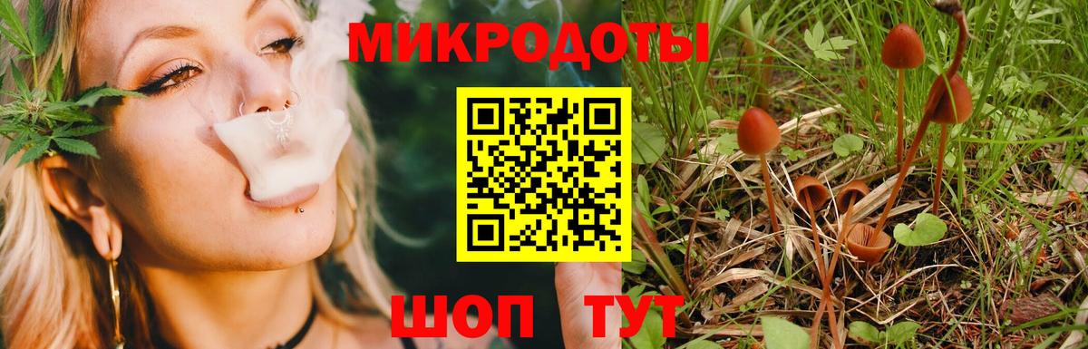 Псилоцибиновые грибы ЛСД Артёмовский