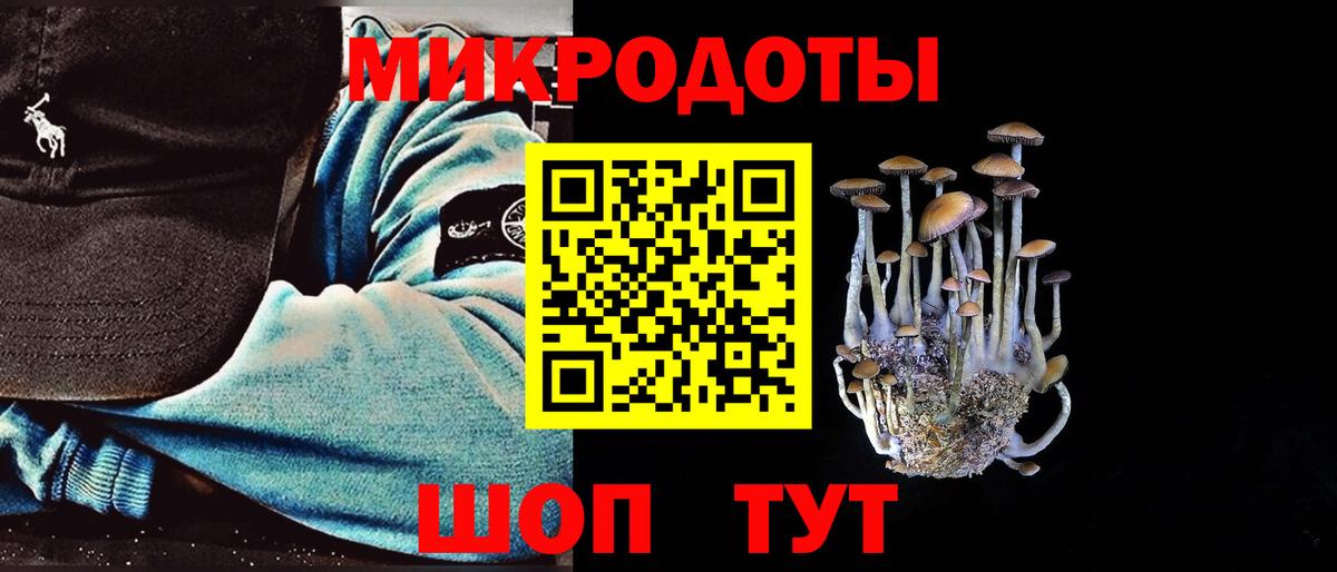 Галлюциногенные грибы Psilocybe Артёмовский